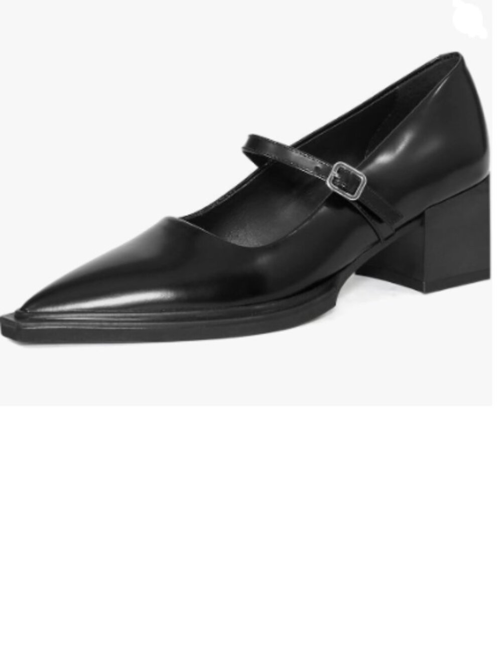 YDN Black Mary Jane Block Low Heel Pumps Chic  Pointed Toe Buckled Strap Shoe